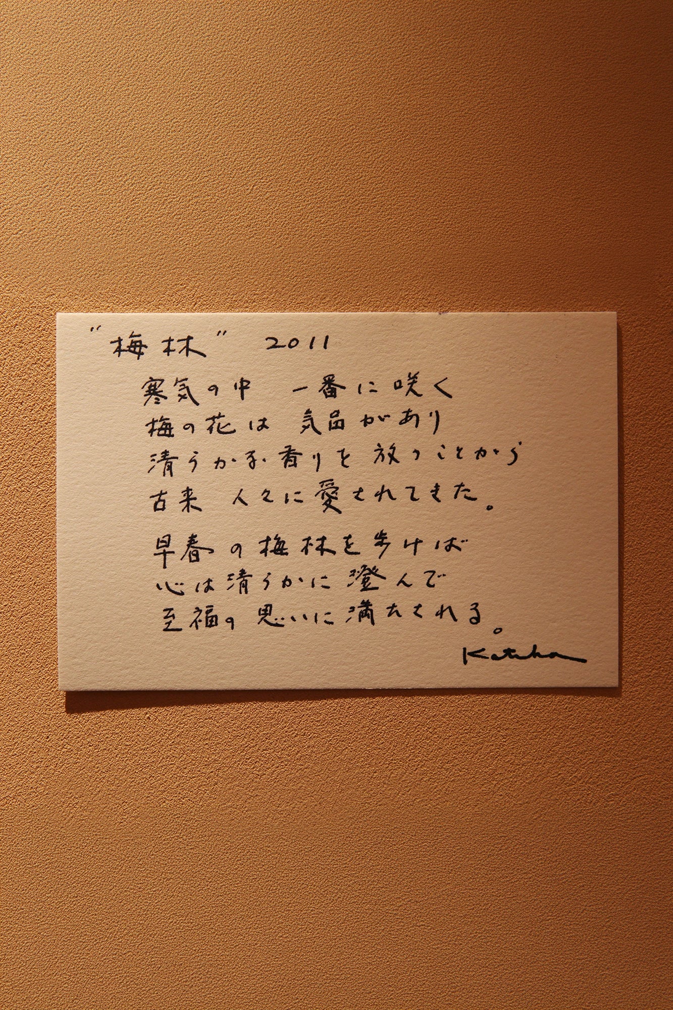 Ise Momen textile tenugui/Bairin